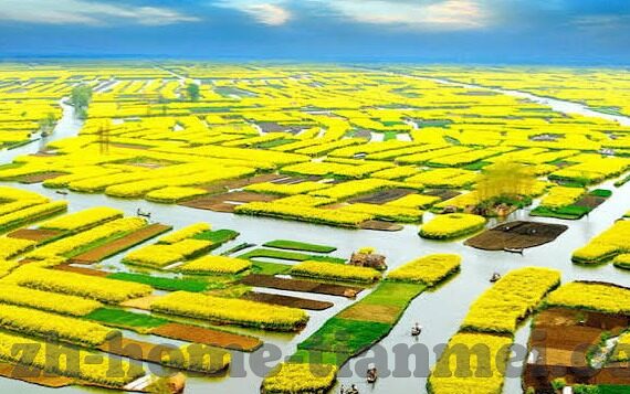 麻豆啊传媒app下载-麻豆啊传媒APP，丰富多样的内容体验新篇