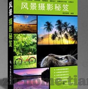 玉米视频网站麻豆-玉米视频网站与麻豆，新兴娱乐的Avatar？